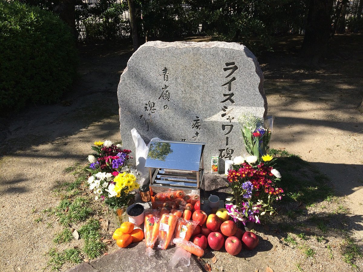 🏇 교토 경마장 이미지 8